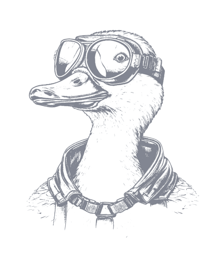 Goose