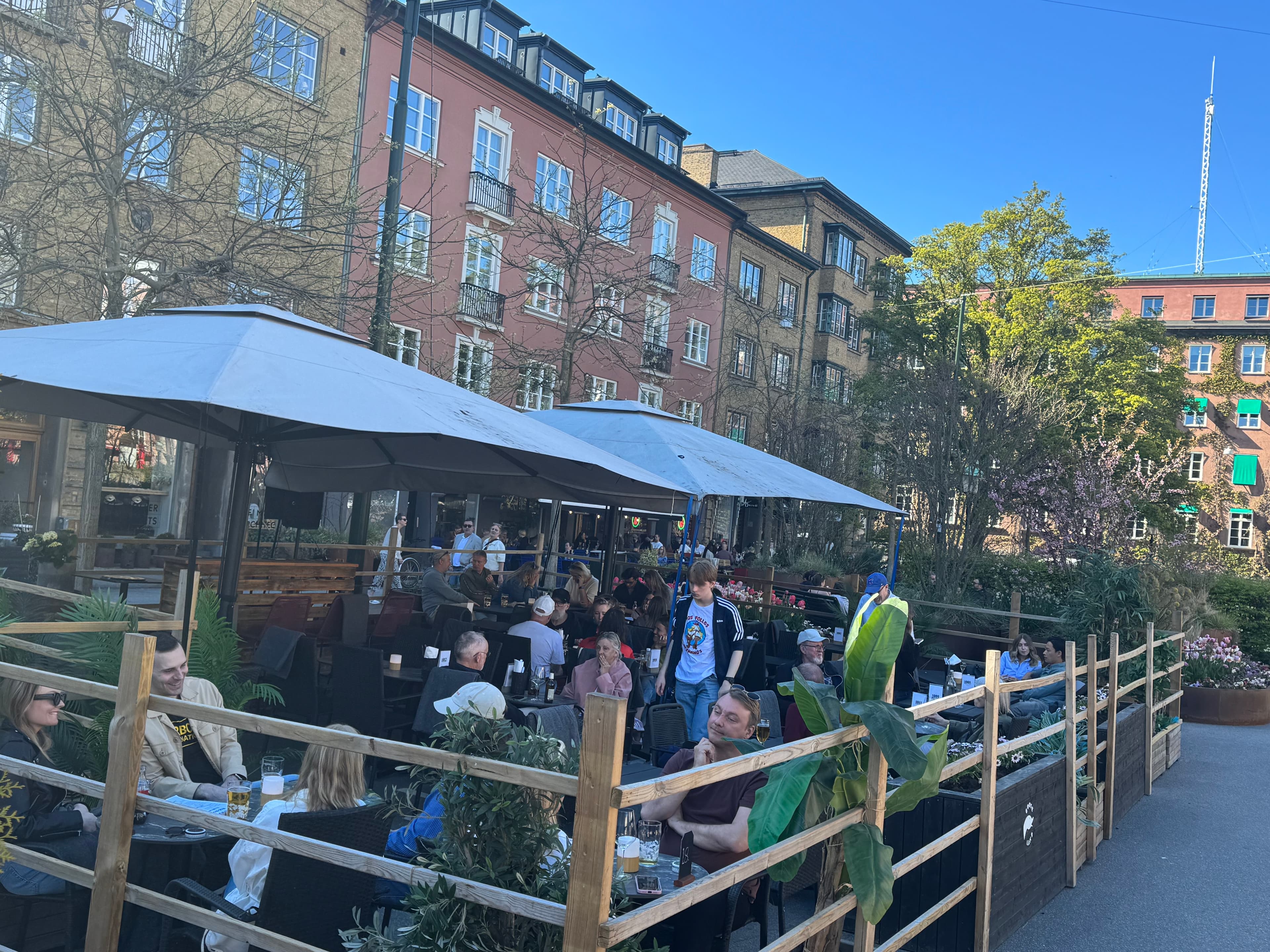 Summer terrace at Goose